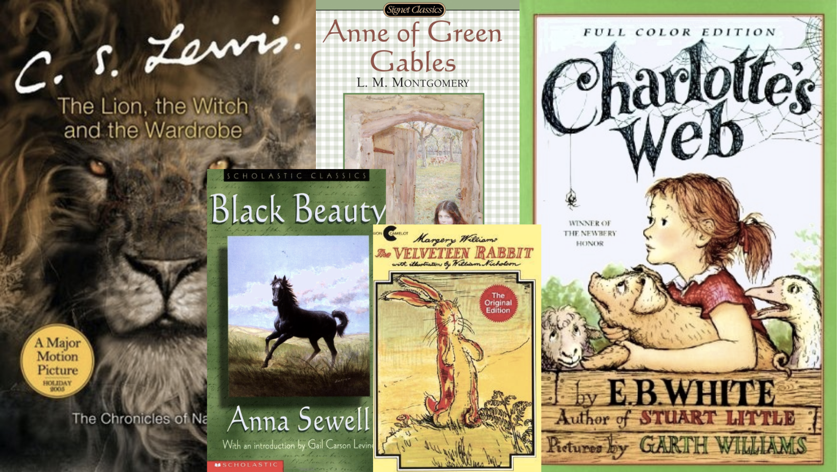 Lions, Pigs and Horses Oh My! | Adult Reads Kids Books